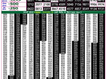 राजश्री 50 लाटरी का रात 7:30 बजे का रिज़ल्ट दिनांक 04.11.25 लाटरी सम्बाद टुडे
