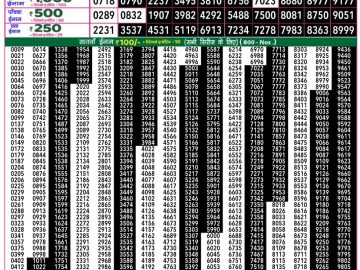 राजश्री 50 लाटरी का रात 7:30 बजे का रिज़ल्ट दिनांक 06.11.25 लाटरी सम्बाद टुडे