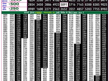 राजश्री 50 लाटरी का रात 7:30 बजे का रिज़ल्ट दिनांक 08.11.25 लाटरी सम्बाद टुडे