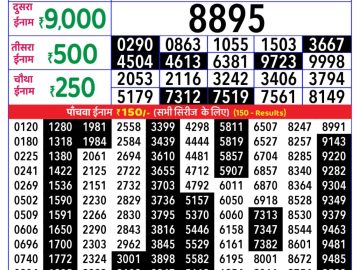 राजश्री लाटरी का 4 बजे का रिज़ल्ट दिनांक 11.11.25 लाटरी सम्बाद टुडे