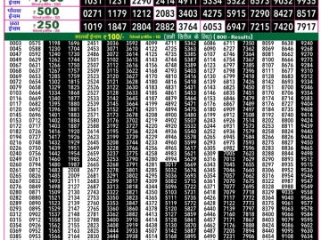 राजश्री 50 लाटरी का रात 7:30 बजे का रिज़ल्ट दिनांक 04.12.25 लाटरी सम्बाद टुडे