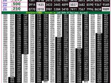 राजश्री 50 लाटरी का रात 7:30 बजे का रिज़ल्ट दिनांक 06.12.25 लाटरी सम्बाद टुडे