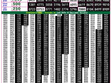 राजश्री 50 लाटरी का रात 7:30 बजे का रिज़ल्ट दिनांक 09.12.25 लाटरी सम्बाद टुडे