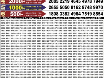 Punjab Lottery Result Today 6:30 pm 08.09.26 – पंजाब स्टेट डियर लाटरी सम्बाद टुडे
